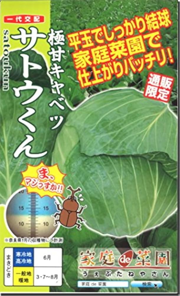 サトウくん Amazon.co.jp: キャベツ 種子 サトウくん 40粒 : DIY・工具